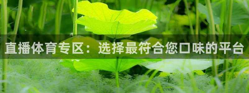 黑白直播免费观看nba：直播体育专区：选择最符合您口味的平台