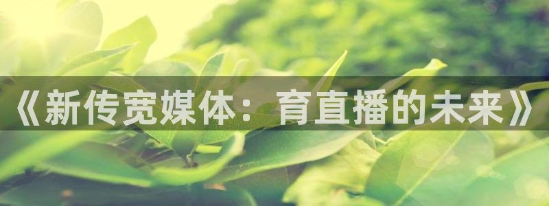 黑白体育nba直播下载：《新传宽媒体：育直播的未来》