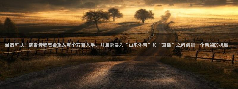 黑白足球直播间：当然可以！请告诉我您希望从哪个方面入手，并且需要为“山东体育”和“直播”之间创建一个新颖的标题。