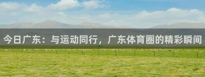 黑白体育直播高清免费观看：今日广东：与运动同行，广东体育圈的精彩瞬间