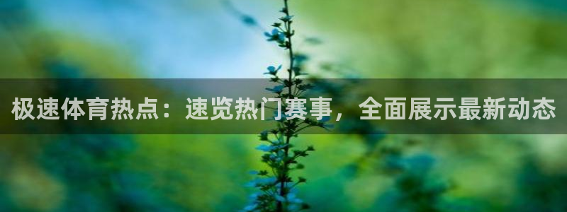 黑白直播体育免费版下载：极速体育热点：速览热门赛事，全面展示最新动态