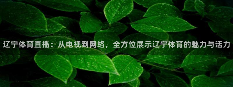 nba直播免费观看直播在线黑白直播：辽宁体育直播：从电视到网络，全方位展示辽宁体育的魅力与活力