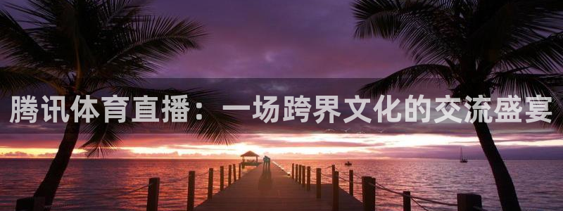 黑白直播免费直播nba：腾讯体育直播：一场跨界文化的交流盛宴