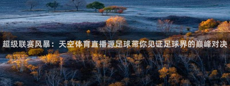 黑白直播体育在线直播：超级联赛风暴：天空体育直播源足球带你见证足球界的巅峰对决