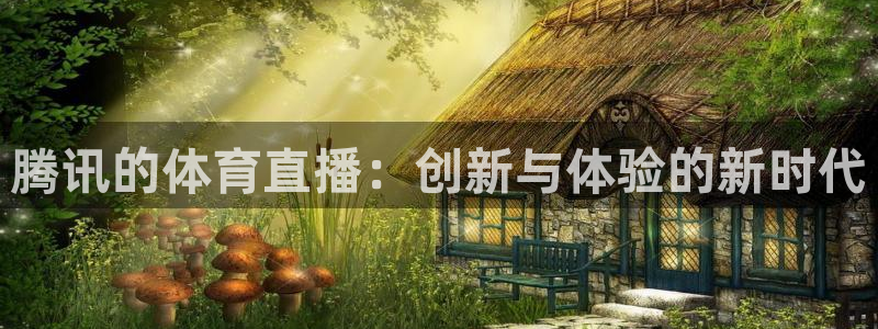 黑白超：腾讯的体育直播：创新与体验的新时代
