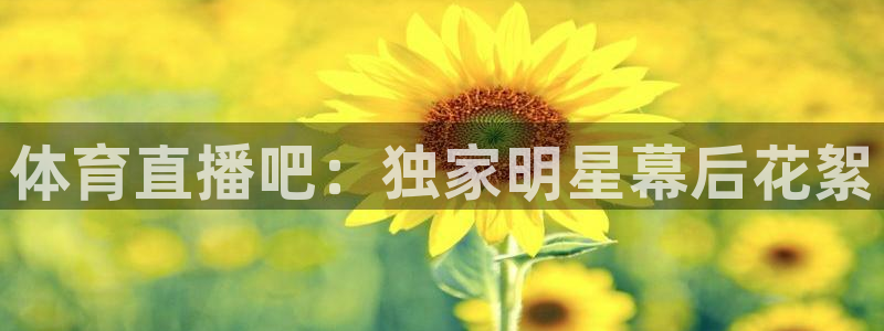 黑白直播jrs直播：体育直播吧：独家明星幕后花絮