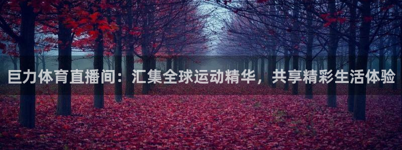黑白直播在线观看nba：巨力体育直播间：汇集全球运动精华，共享精彩生活体验