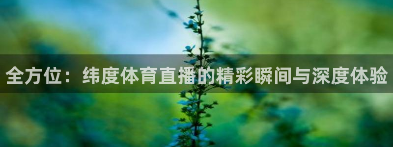 黑白体育足球直播：全方位：纬度体育直播的精彩瞬间与深度体验